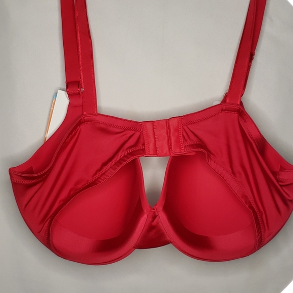 Bra - Picture 2 of 4